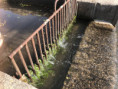 /album/prosba-obcanum/img-20260419-wa0016-1-jpg/